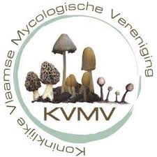 Logo KVMV / Funbel